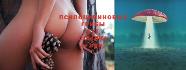 молекула духа Сосновый Бор