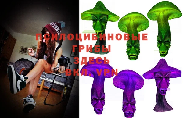 гашик Вяземский