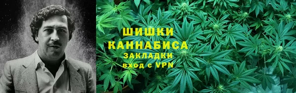 гашик Вяземский