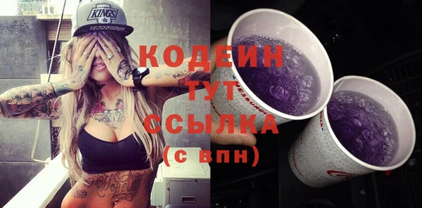 гашик Вяземский