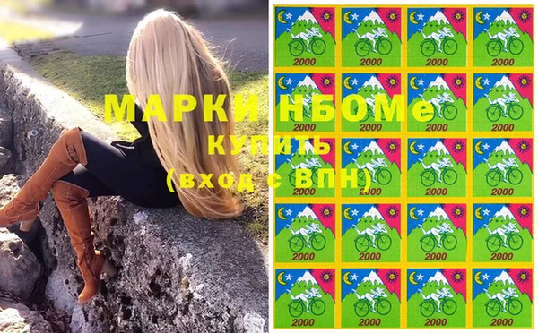 гашик Вяземский
