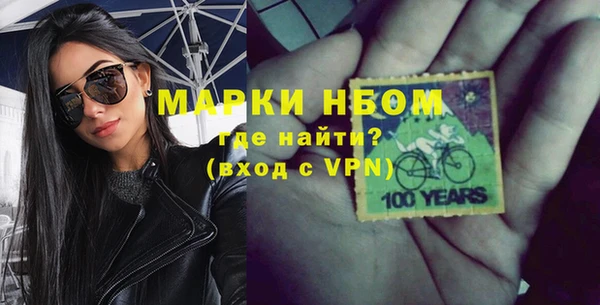 гашик Вяземский