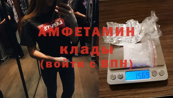 гашик Вяземский