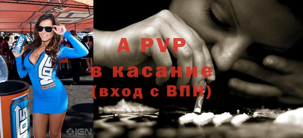 гашик Вяземский